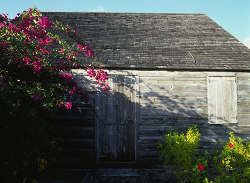 Weathered Shack with Bougainvellea Dunmore Town Harbour Island Bahamas (MF).jpg